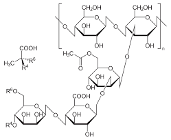 Xanthan Gum Molecule